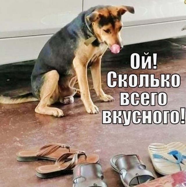 Вторник. Немного картинок
