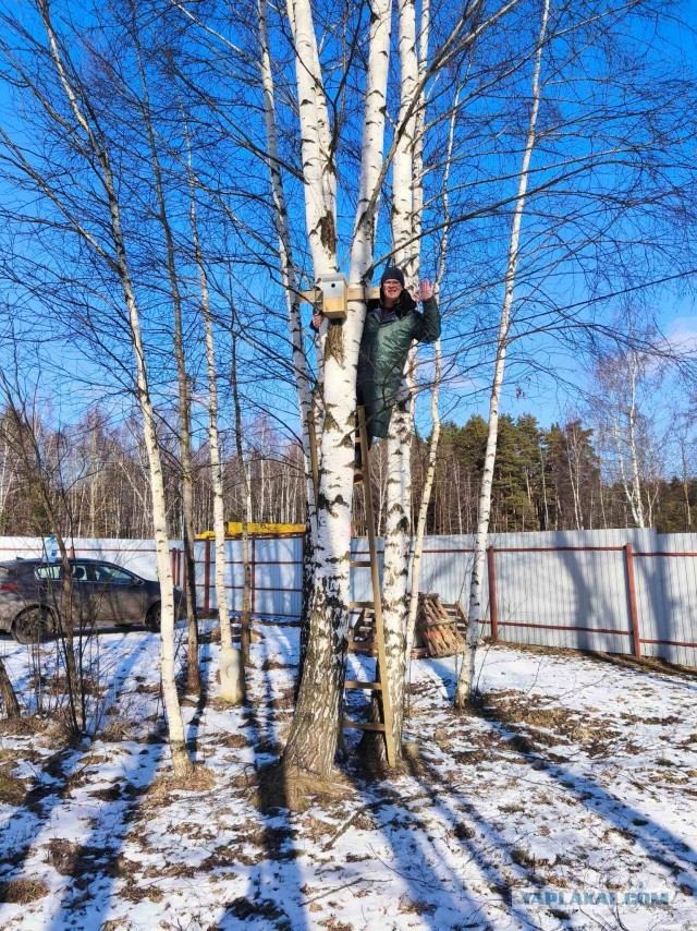 Бронедом-2