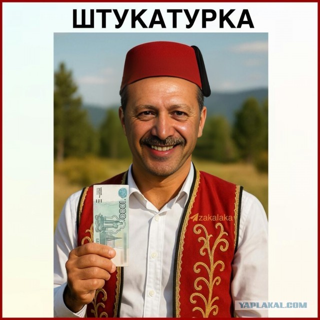 Сказ о том, как турецкие депутаты бюджет принимали.