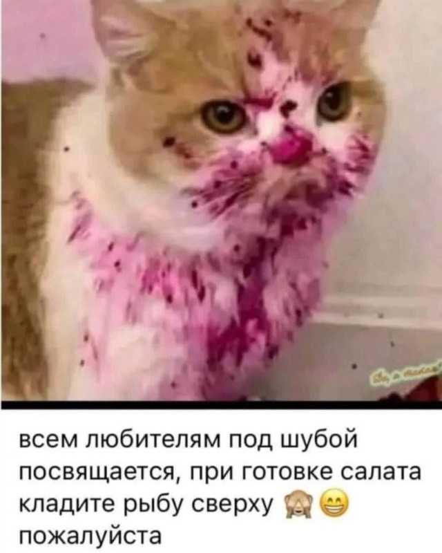 Так себе картинки 31.12.25