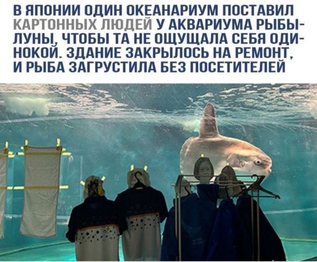 Околонаучный дегрономикон 3