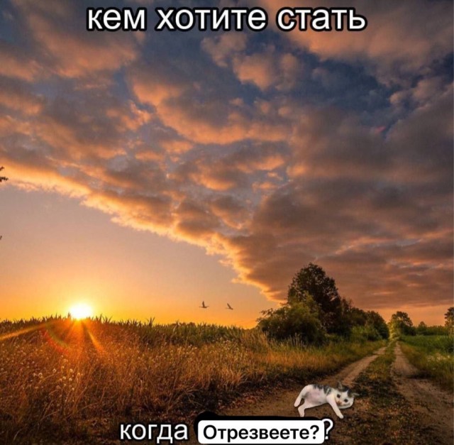 Хотите пустоты? Дарю вам частичку!
