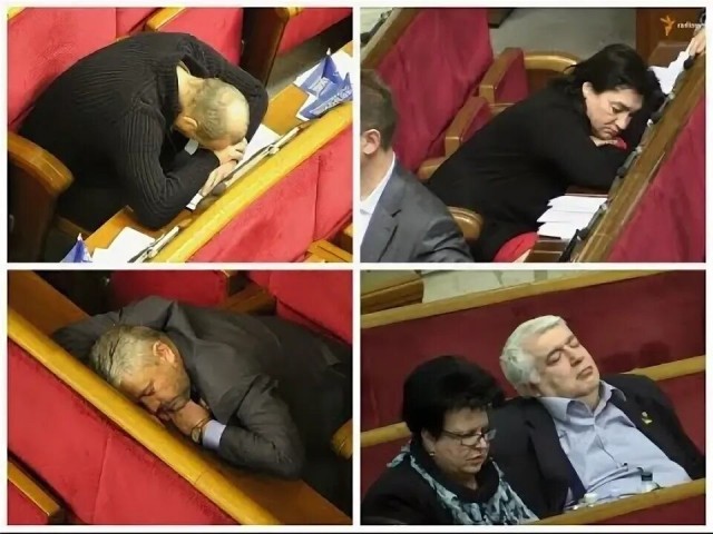 В России готовят ГОСТ на антимоскитные сетки, — депутат Госдумы Буцкая