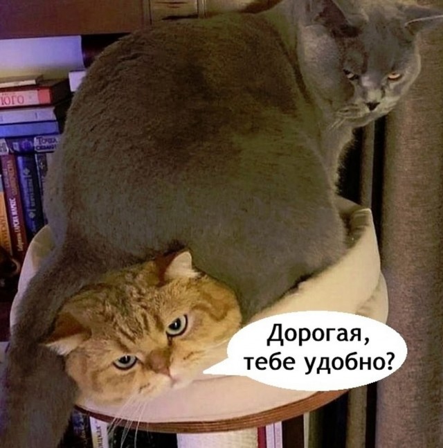 -Тебе так удобно?