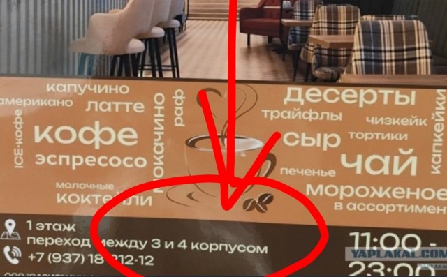 Жертвы ЕГЭ снова отличились. Найдите косяк егэшника