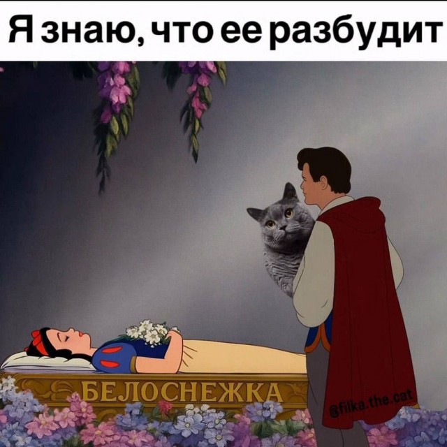 Картинки для деградации 194 (разной степени свежести)