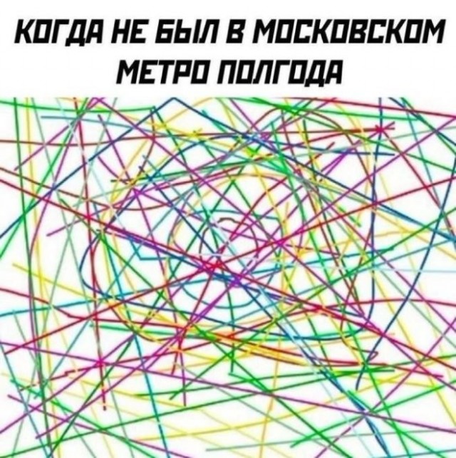 Веселые картинки в маленькую пятницу (13.05)