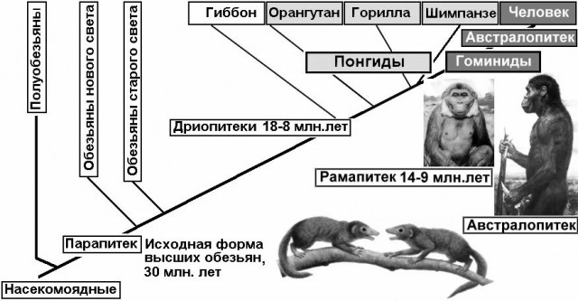 Родственники пугают необразованных людей