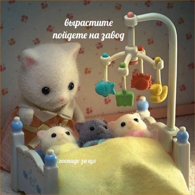 Картинки для деградации 230 (разной степени свежести)