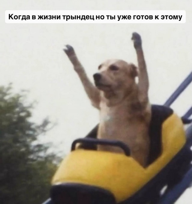 Картинки для деградации 252 (разной степени свежести)