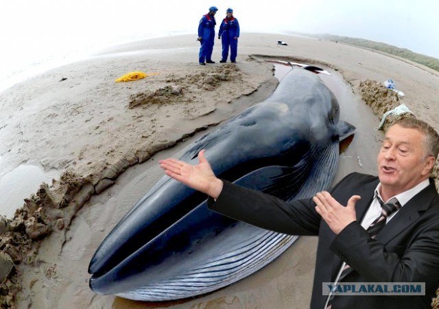 Путин и рыба