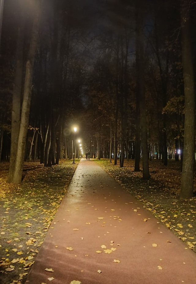 Смело топчу я ногой внешнюю леса красу...
