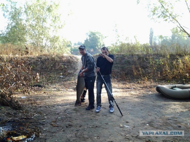 Выходные не зря прошли)