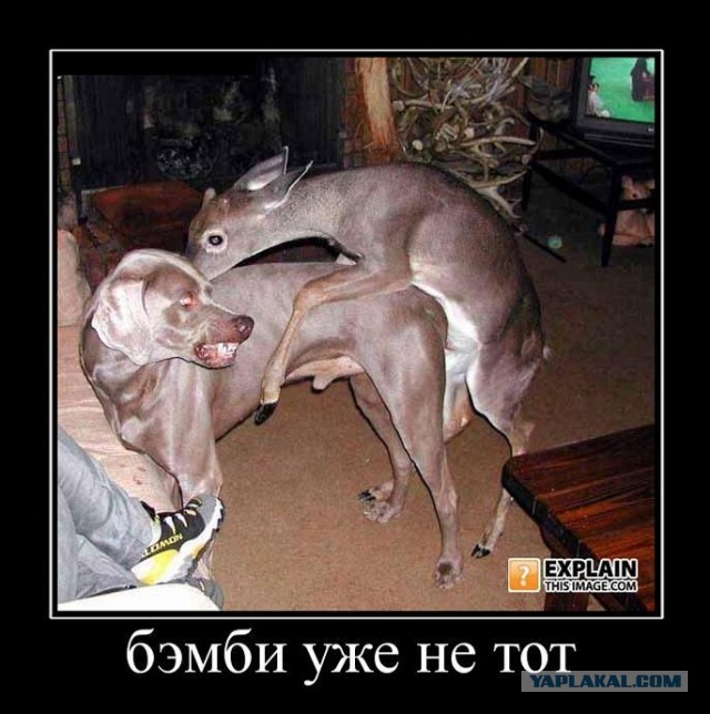 Самые провальные сексуальные снимки