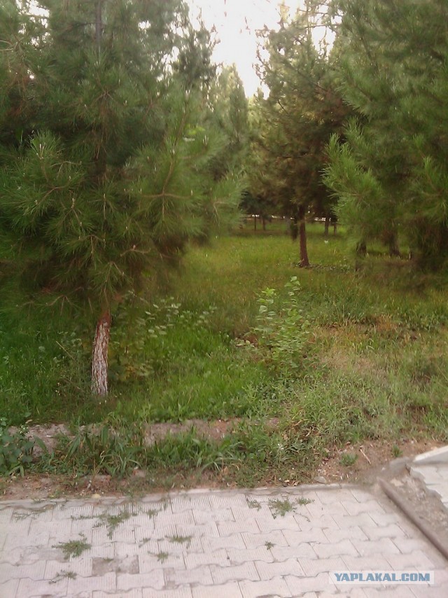 Как я был гастарбайтером.