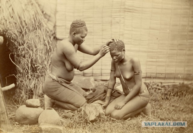 Южная и Восточная Африка: 1870-1930.