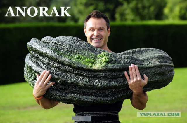 Чёрт, чёрт, чёрт!