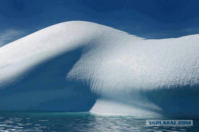25 фото, на которые придется посмотреть дважды