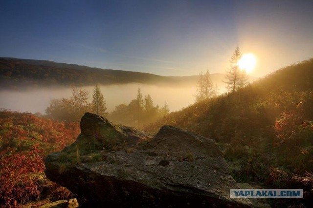 Лучшие фотографии года