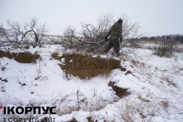 В Луганске начались масштабные учения