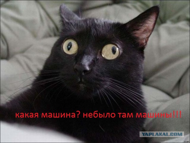 Шагнула такая..