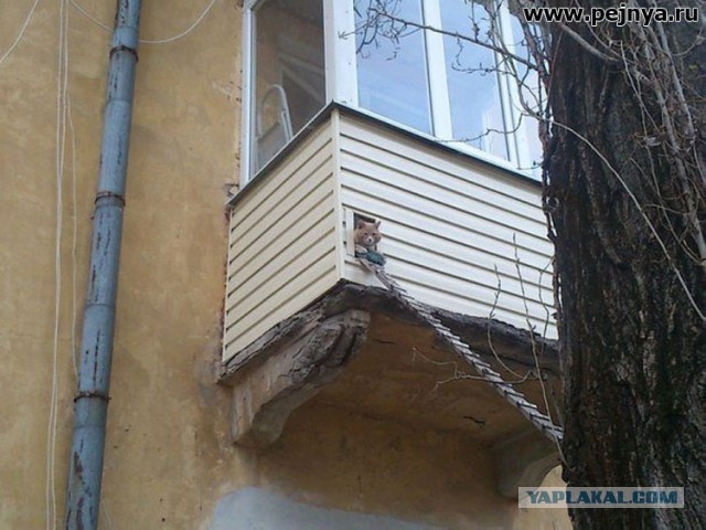 Твоя реакция когда...