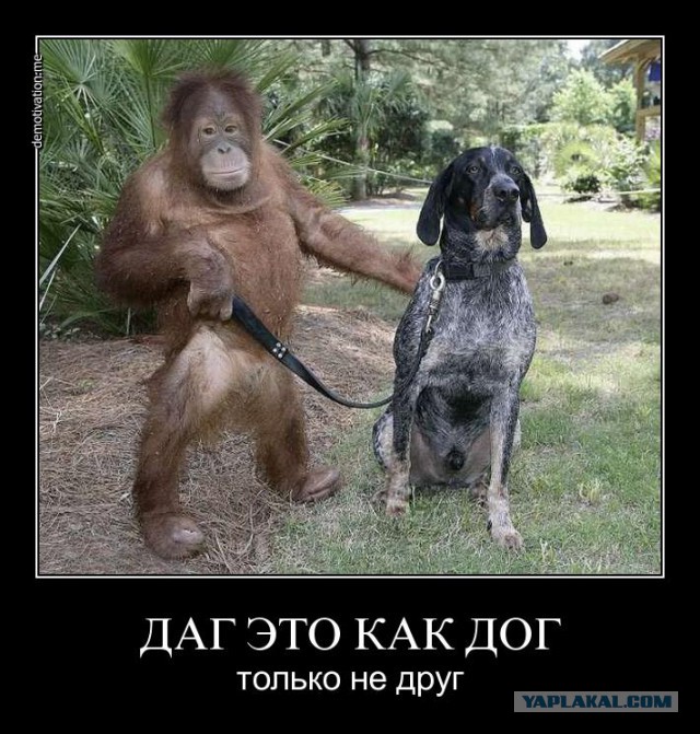 Дагестанский самострой