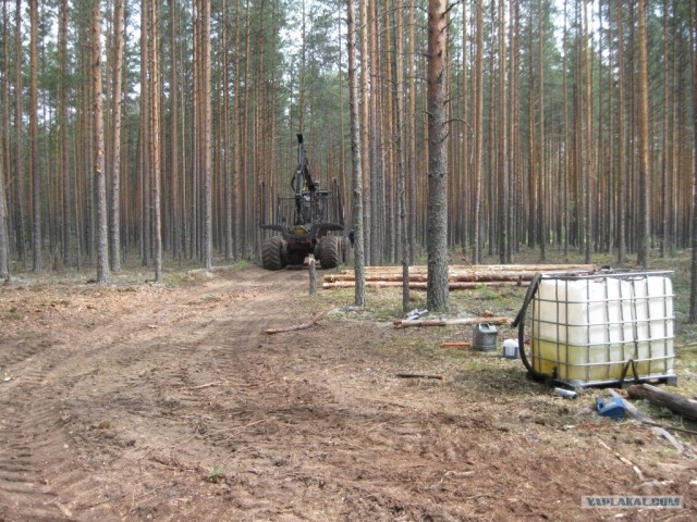 Будни лесозаготовителя