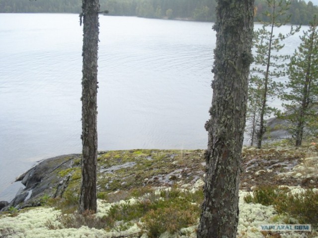 Небольшая дверь в Лето!