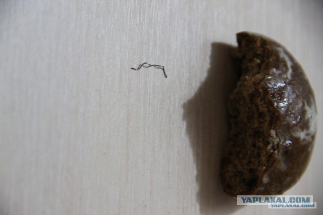 Магазин "СЕМЕЙНЫЙ" - теперь вы знаете что вы едите