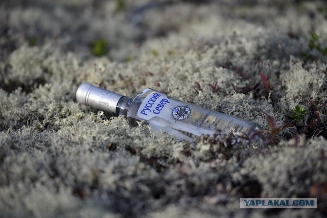 Полярная ночь в Мурманске