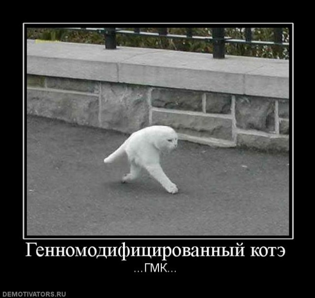 Абсурдный юмор ч.10