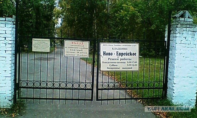 Подборка веселых картинок на выходные