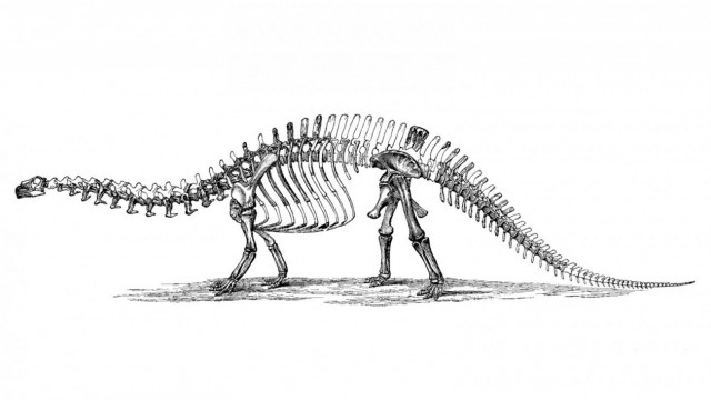 Легендарные динозавры выглядят совсем не так, как мы привыкли считать!