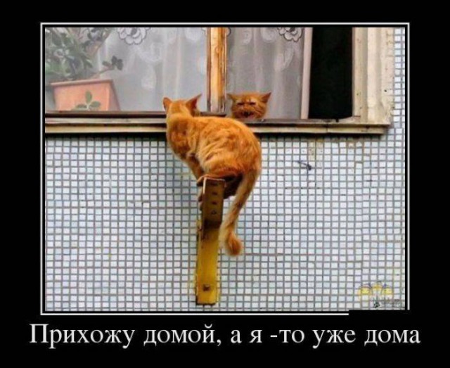 Демотиваторы на выходные