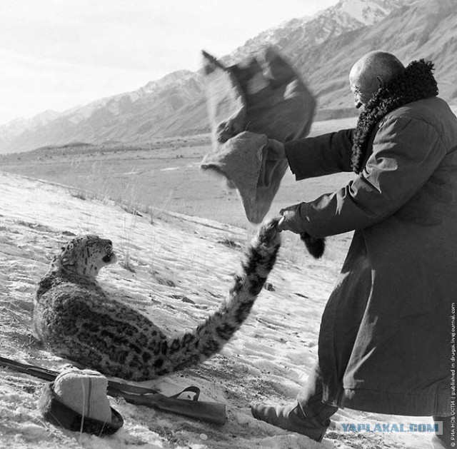 Интересные фотографии из прошлого