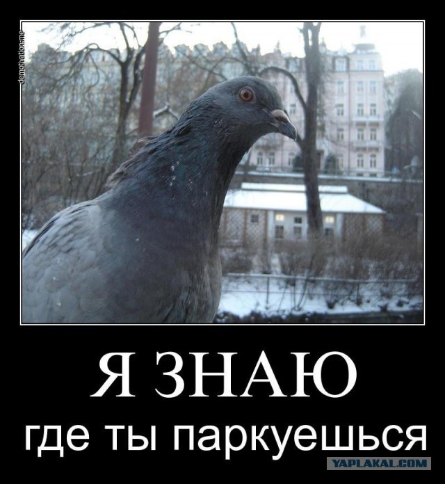 Есть тут кто-то умный?