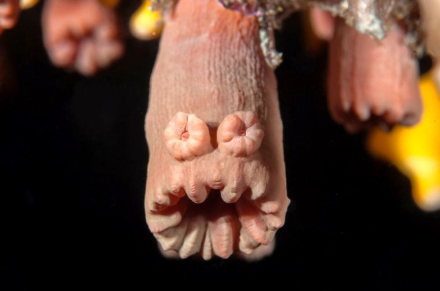 Подборка любопытных фотографий со всего света