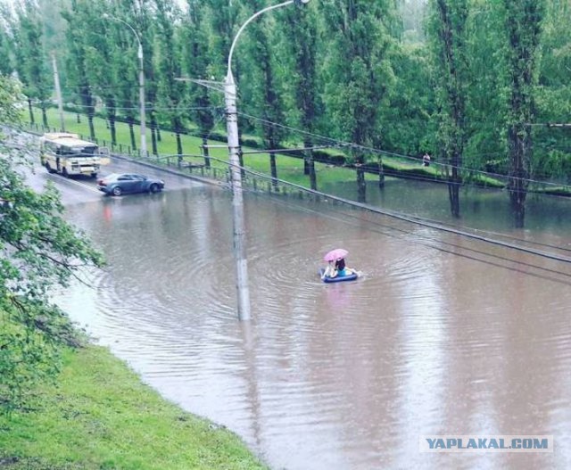 Подборка частицы смеха...