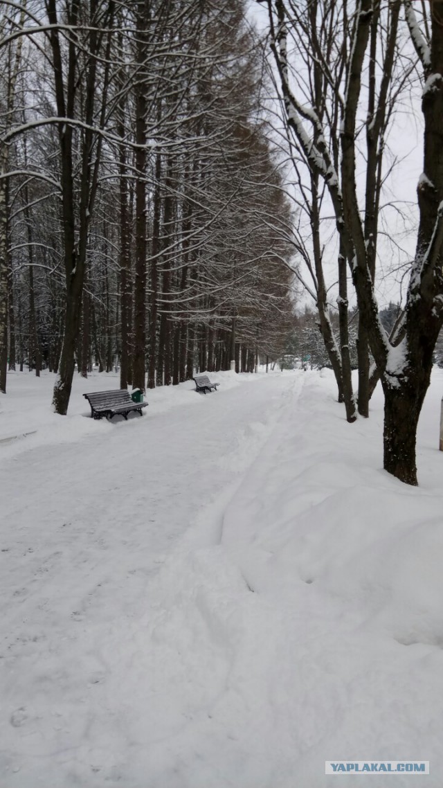 Деревенская Америка - 3