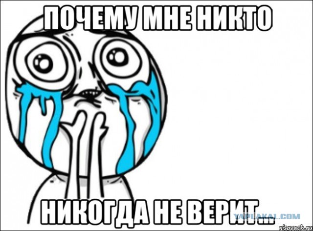 В Белгородской области пять косуль покончили с собой, бросившись под снегоход