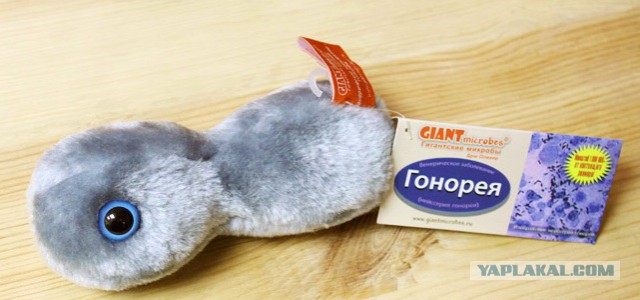 Даже гонорея станет смертельно опасной