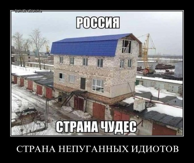 Подборка безудержного веселья