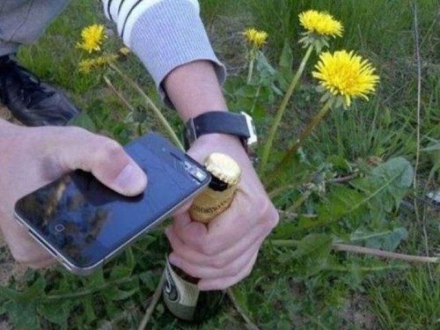 Подборка безудержного веселья