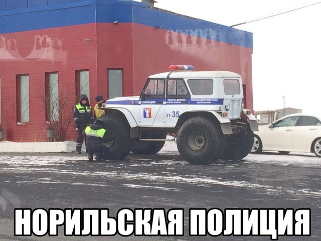 Смешные картинки