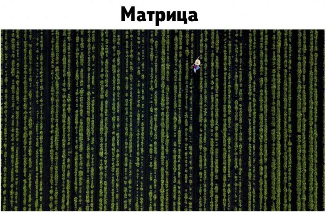 Подборка интересных и веселых картинок