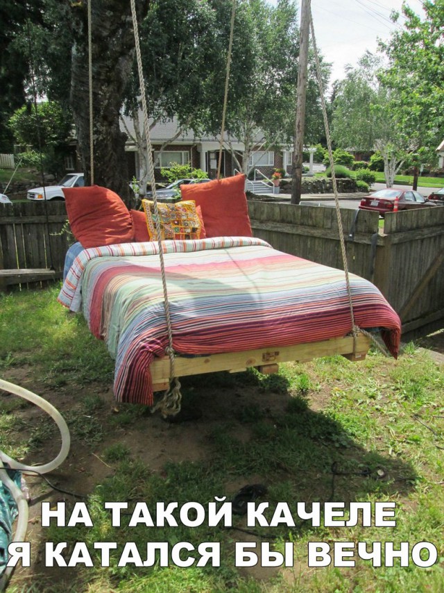 Прикольные картинки обо всём