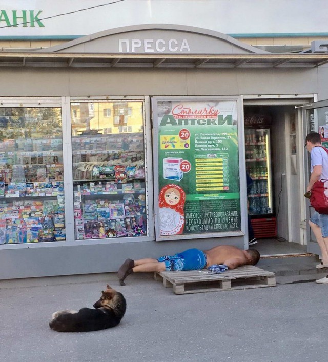 Скотсети и прочие интернеты 09.08.2018
