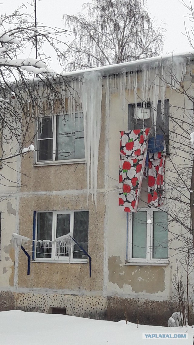 Ледяная глыба нашла очередную жертву