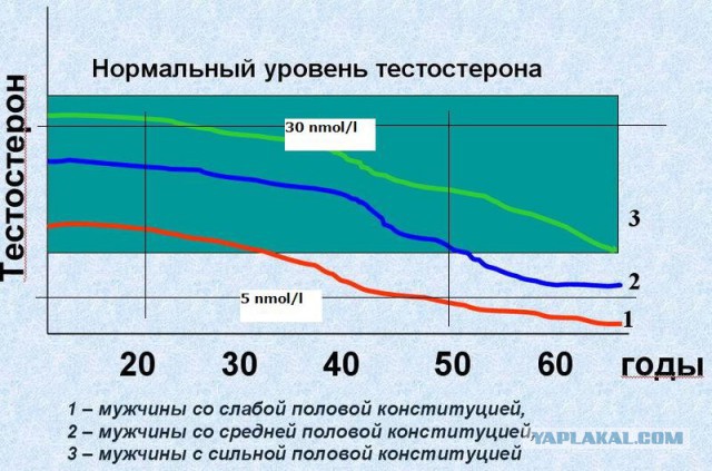 Все мужчинам на заметку.Гормонозаместительная терапия.